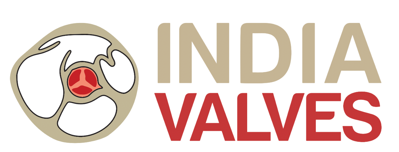 IndiaValve logo